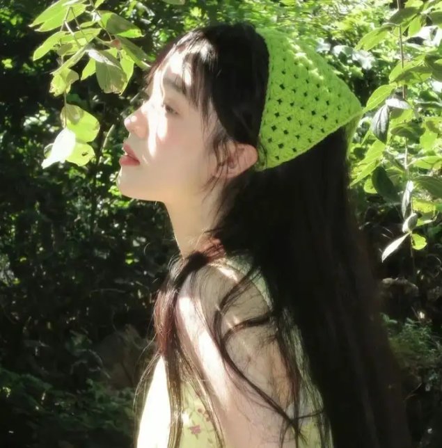 单骑悍盗